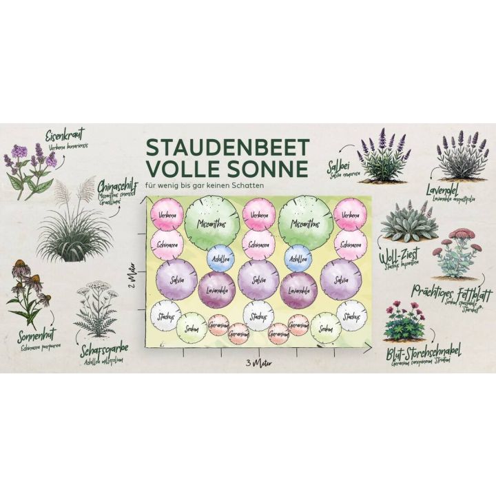 Staudenbeet "Volle Sonne"