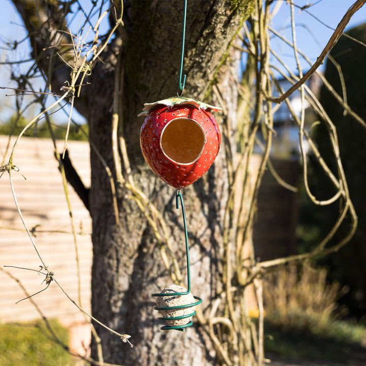 Vogeltränke und Futterhaus Erdbeere