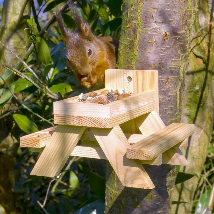 Picknicktisch aus Kiefernholz für Eichhörnchen
