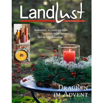 Zeitschriftencover von "Landlust" November/Dezember 2023. Hauptbild zeigt einen Adventskranz mit roter Kerze im Wald. Links oben Lichterbasteln und Suppe mit Maronen. Themen: Walddekoration, Tafelsilber, Bodenpflege. Preis: 4,80 Euro.