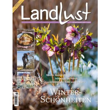 Titelbild der Zeitschrift „Landlust“ Januar/Februar 2024 mit lila-blühenden Stauden im Vordergrund, seitlich drei Themenbilder undText zu Winterpflanzen, Habicht,, Krimis und Rezepten.