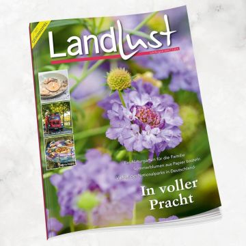 Titelbild der Zeitschrift „Landlust“ Juli/August 2024 mit lila Sommerblume, Seitentexten zu Naturgarten, Papierblumen und Nationalparks; linke Bildleiste zeigt drei Fotos zu Essen, Feuerwehrfahrzeug und Picknick.








