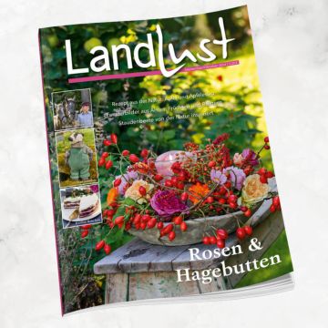 Magazincover "Landlust" September/Oktober 2024 mit einer floral dekorierten Schale aus Rosen und Hagebutten. Themen: Apfelessig, Fensterbilder, Pflanzenbeete. Links kleine Bilder mit Reiten, Strickprojekt und Torte.