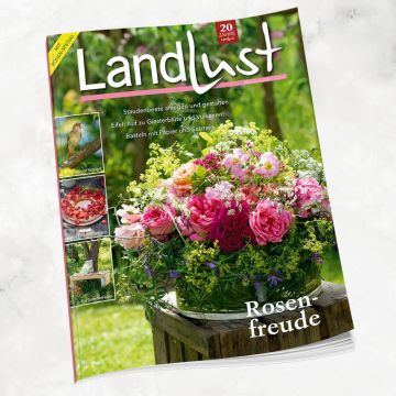 Titelbild der Zeitschrift „Landlust“ Mai/Juni 2024 mit einem Blumenarrangement aus Rosen auf einem Holztisch im Freien; Texthinweise zu Garten- und Bastelthemen, linke Spalte mit Fotos zu weiteren Inhalten.









ChatGPT fragen
