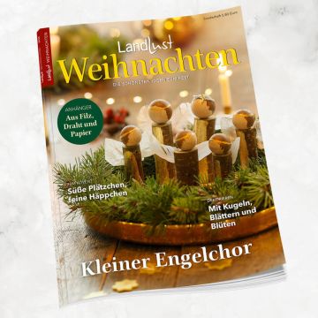 Titelbild einer Zeitschrift. Haupttitel: "Landlust Weihnachten". Themen: Anhänger aus Filz, Draht und Papier, süße Plätzchen, feine Häppchen, und Dekorieren mit Kugeln, Blättern und Blüten. Abgebildet: Kleiner Engelchor aus Holz auf einem Kranz.