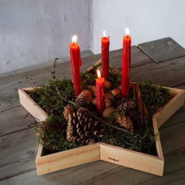Rote Kerzen und Naturmaterialien auf einem sternförmigen Holztablett bilden eine Adventsdekoration. Das Arrangement enthält Tannenzapfen, Wurzeln und Moos, platziert auf einem Holztisch. Eine Kerze brennt.