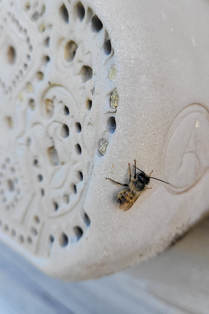 Grauer Tonblock mit dekorativen Mustern, glatter Oberfl&auml;che und einer Biene.