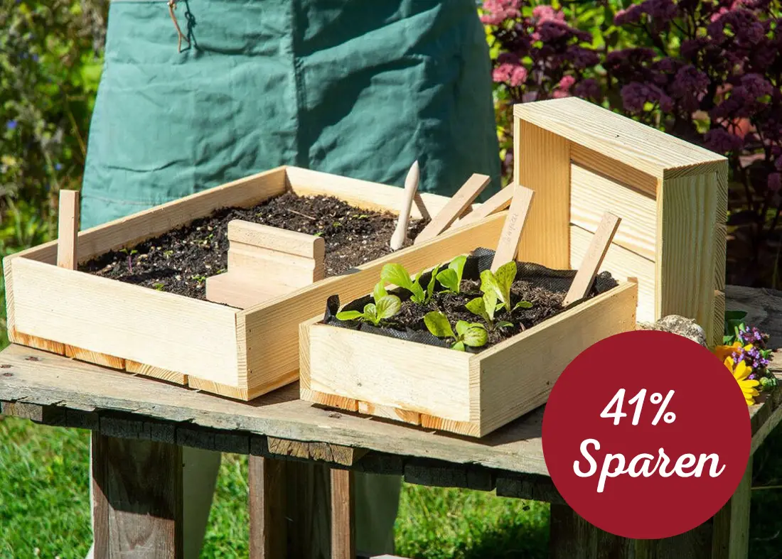 Ausaat-Set auf einem Holztisch im Garten