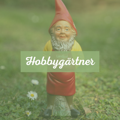 Ein gelb-roter Gartenzwerg steht auf grünem Gras. Text: Hobbygärtner