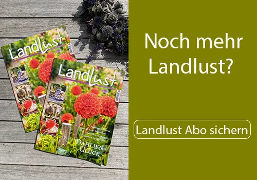 Landlust Zeitschrift, Bild verlinkt zum Landlust Abonnement