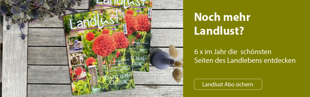 Landlust Zeitschrift, Bild verlinkt zum Landlust Abonnement