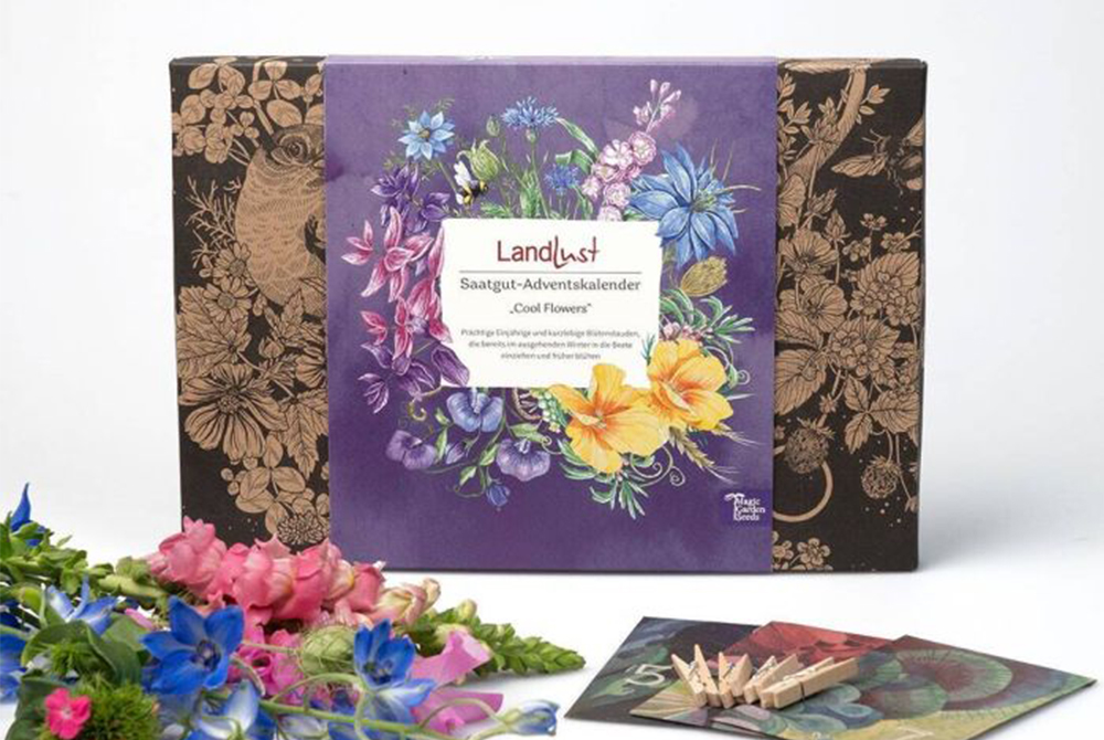 Ein Adventskalender steht vor einem weißen Hintergrund. Davor liegen Blumen und bunte Papiertütchen