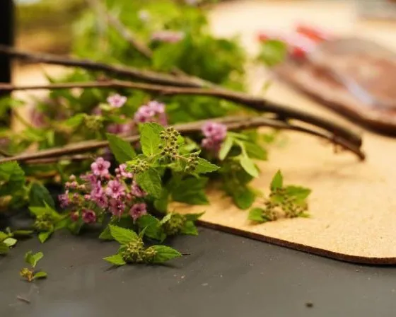 Zweige mit grünen Blättern und kleinen lila Blüten liegen auf einer gelben Matte auf einem Tisch. Im Hintergrund ist unscharf eine Flasche zu erkennen. Bild verlinkt zum Workshop.
