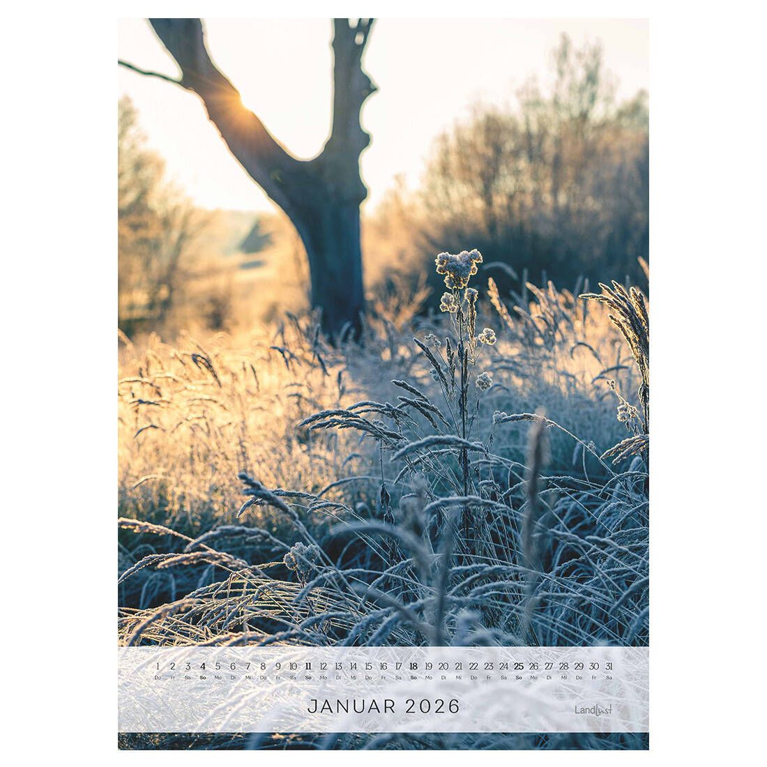 Das Kalenderblatt Januar zeigt frostige Zweige, die von einer dünnen Eisschicht bedeckt sind und von Sonnenstrahlen angeleuchtet werden.