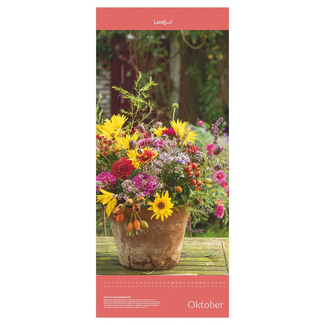 Das Kalenderblatt im Oktober zeigt einen kunterbunten Blumenstrauß in einem Terrakottatopf. Dieser steht auf einem Holztisch in einem Garten.