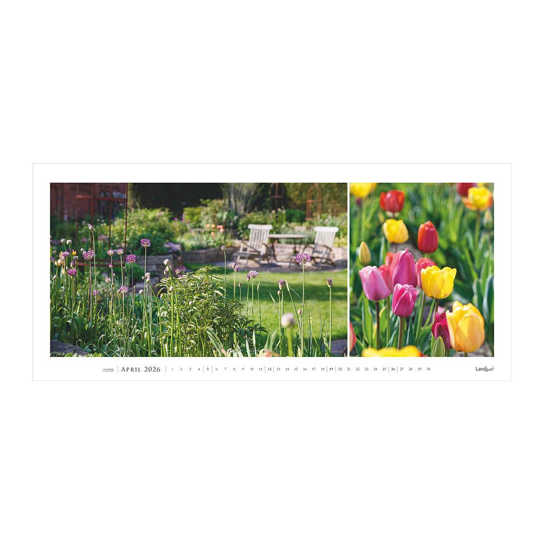 Das Kalenderblatt April zeigt einen blühenden Garten. Im Hintergrund sind Holzmöbel zu erkennen. Ein zweites Bild zeigt leuchtend, blühende Tulpen.