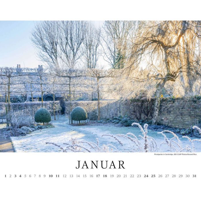 Das Kalenderblatt Januar zeigt einen schneebedeckten Garten mit kahlen Bäumen und ein paar Sonnenstrahlen die rein scheinen.