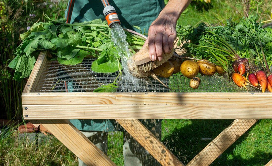Jemand sp&uuml;lt mit einem Gartenschlauch Gem&uuml;se auf dem Erntetisch ab und h&auml;lt dabei eine B&uuml;rste in der Hand.