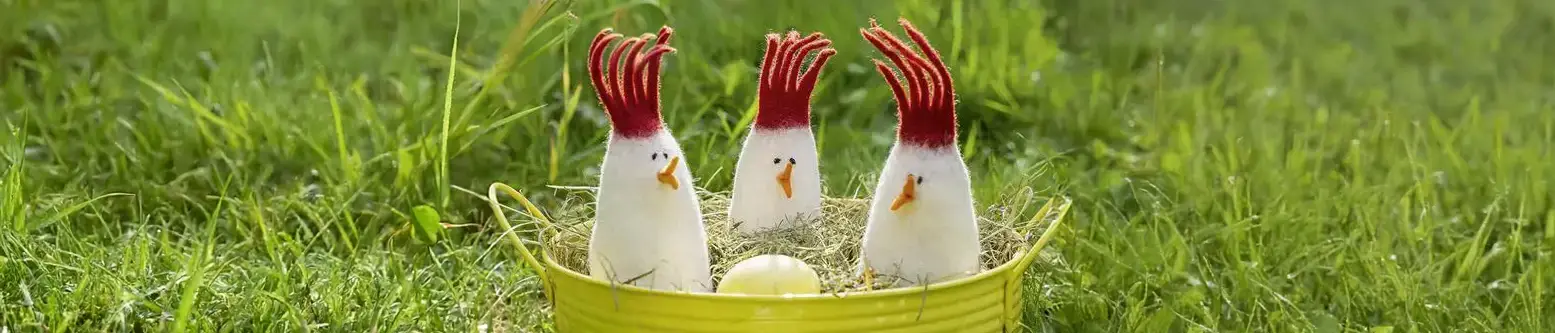 Drei wei&szlig;e Pl&uuml;schh&uuml;hner sitzen in einem Strohnest auf einer Wiese.