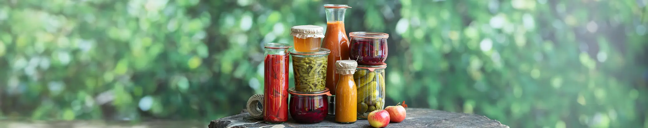 Eingemachte Lebensmittel in unterschiedlich großen Gläsern und Glasflaschen stehen auf einem Holztisch. Unter anderem Bohnen, Gurken und Rote Beete befinden sich in den Gläsern. Im Hintergrund lassen sich grüne Blätter eines nahem Baumes erahnen.