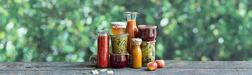 Eingemachte Lebensmittel in unterschiedlich großen Gläsern und Glasflaschen stehen auf einem Holztisch. Unter anderem Bohnen, Gurken und Rote Beete befinden sich in den Gläsern. Im Hintergrund lassen sich grüne Blätter eines nahem Baumes erahnen.