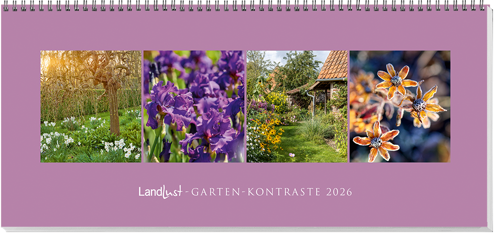 Auf dem Garten-Kalender sind vier Fotografien unterschiedlicher Blumen auf einem lilanen Hintergrund abgebildet.