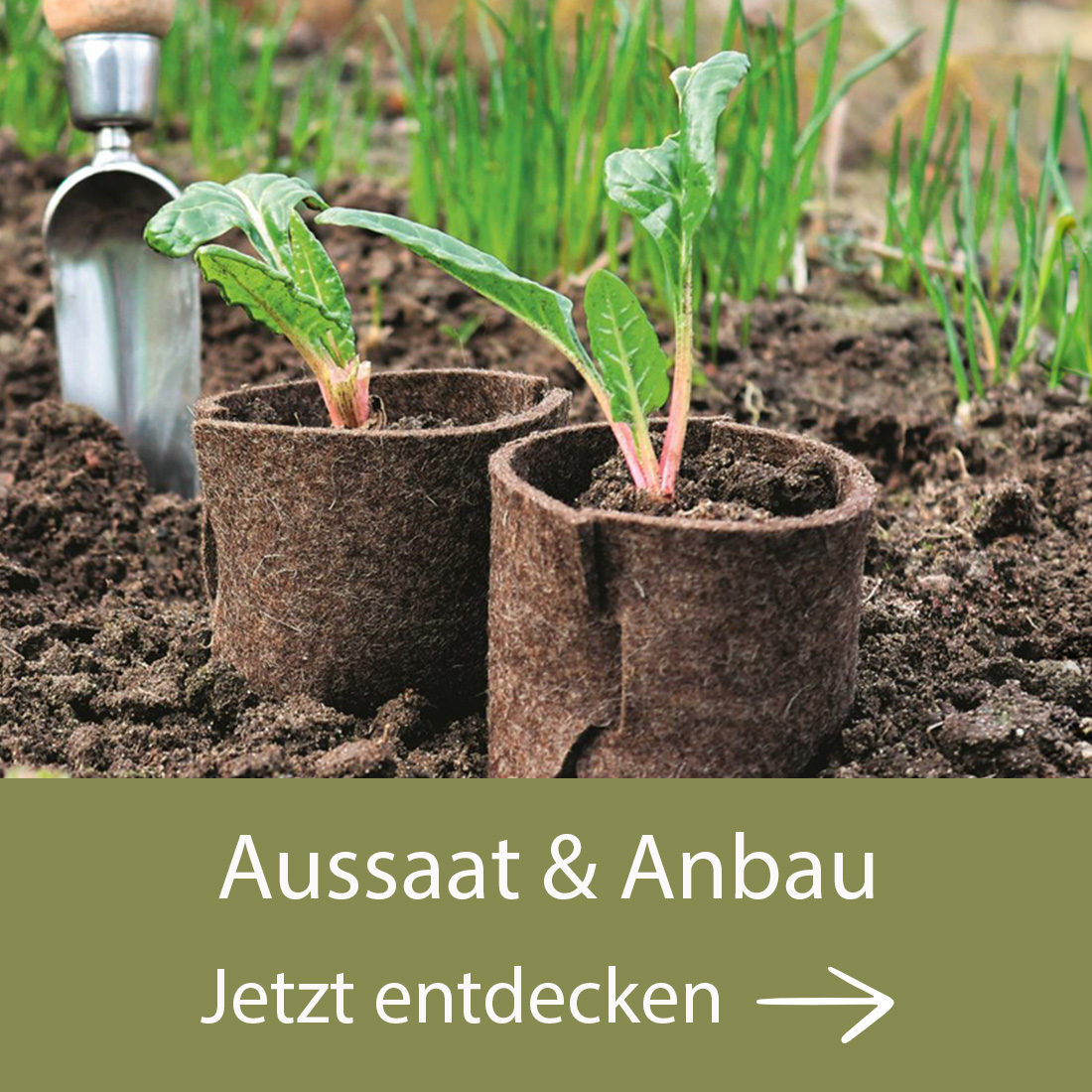 Vertikalbeet mit 5 Kästen aus hellem Holz, schwarze Metallstreben, bunte Pflanzen und grüner Rasen im Hintergrund.