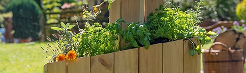 Holzhochbeet mit frischen Kräutern und Blumen, beleuchtet von Sonnenlicht, steht im grünen Garten. Im Hintergrund sind verschwommenes Laub und ein Weidenkorb sichtbar.