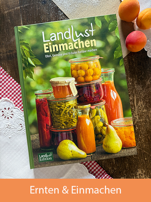 Das Buch "Landlust Einmachen" liegt mit weißen und rot-karierten Tischdecken und rot-orangenen Aprikosen auf einem Holztisch.