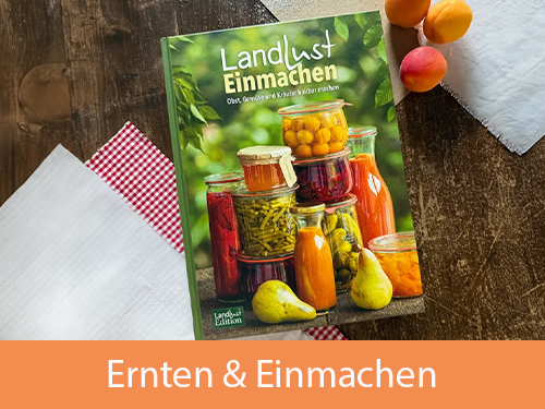 Das Buch "Landlust Einmachen" liegt mit weißen und rot-karierten Tischdecken und rot-orangenen Aprikosen auf einem Holztisch.