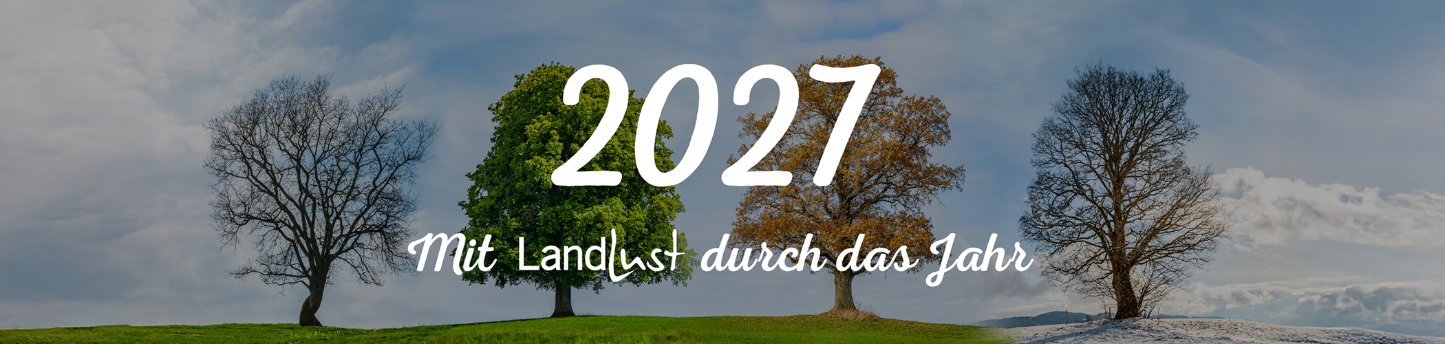 Das Bild zeigt vier B&auml;ume jeweils zu unterschiedlichen Jahreszeiten