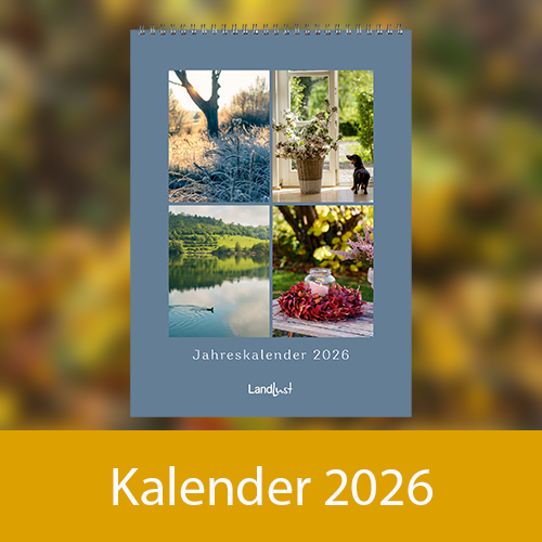 Ein blauer Wandkalender 2026 mit vier Bildern auf dem Cover, vor einem verschwommenem orange-grünem Hintergrund.