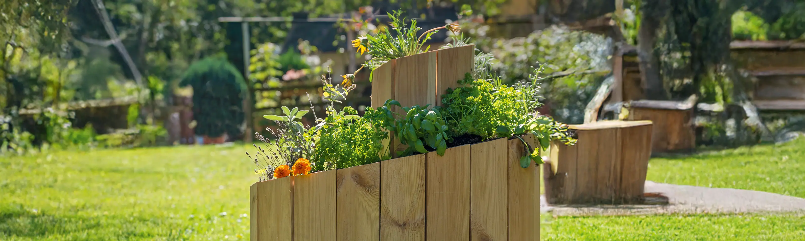 Kr&auml;uterspirale aus Kiefernholz steht bepflanzt in einem Garten. 