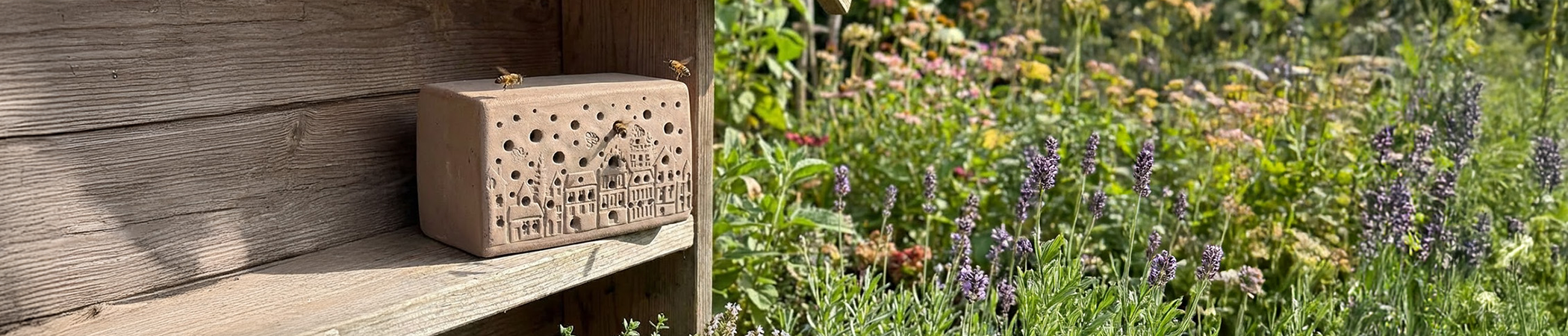 Header Weltbienentag
