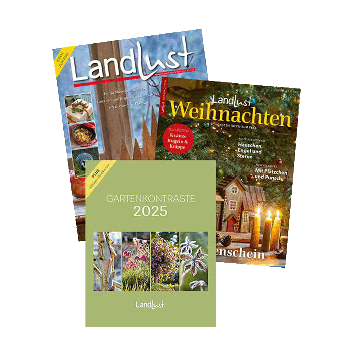 Das Cover vom Magazin "Landlust Sonderheft Weihnachten 2025"