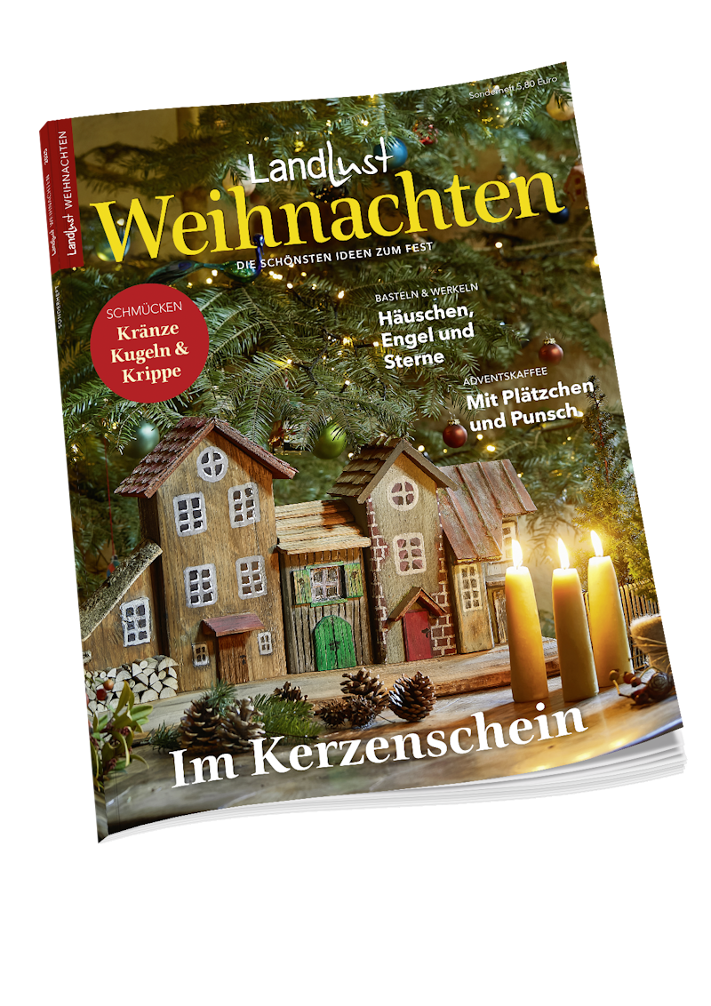Das Cover vom Magazin "Landlust Sonderheft Weihnachten 2025"