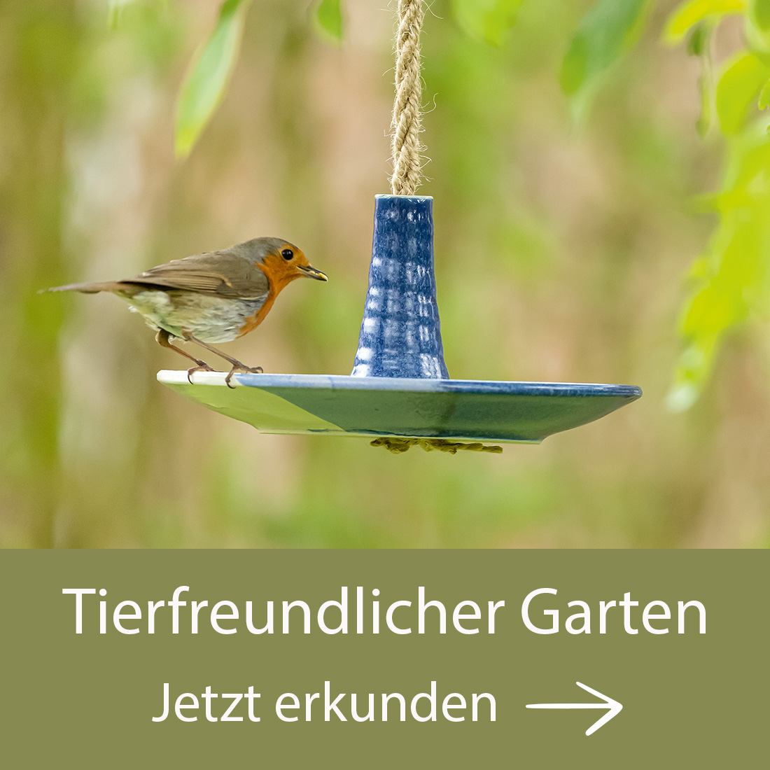 Tierfreundlicher Garten - Jetzt Gartenprodukte erkunden