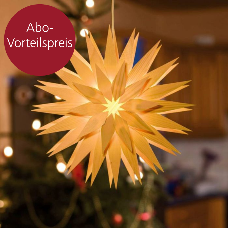 Ein großer Stern aus einzelnen Holzstücken, der durch LED-Licht beleuchtet ist. Im Hintergrund sieht man einen Weihnachtsbaum.