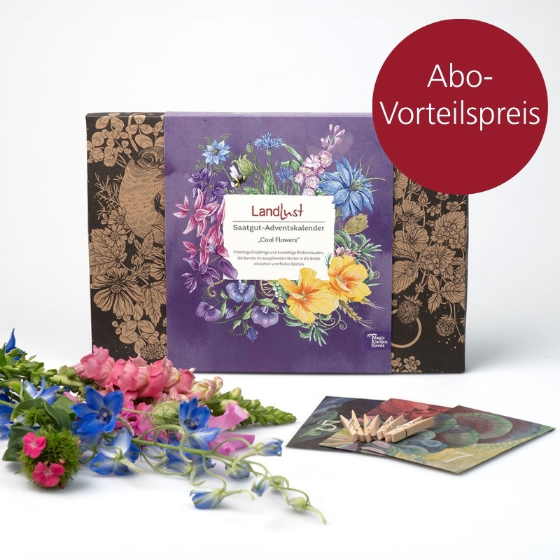 Eine Box mit einem Saatgut-Adventskalender. Vor der Box liegen ein paar der Samenpäckchen, sowie Klammern, die ebenfalls enthalten sind. Außerdem liegen Blumen vor der Box, die aus den Samen entstehen können.