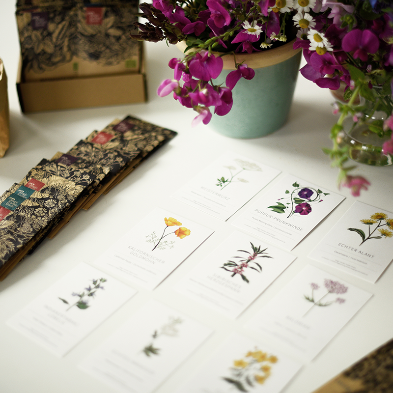 Zeichnungen verschiedener Blumen auf weißen Kärtchen liegen ordentlich auf einem Tisch