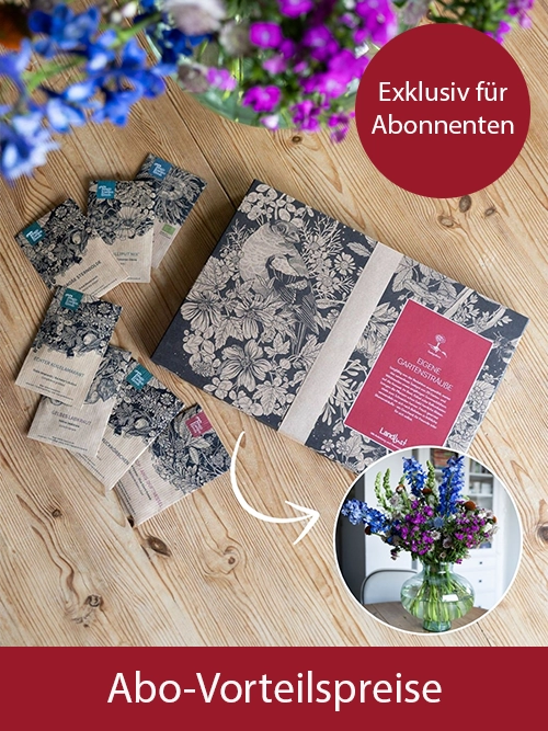 Ein Karton mit Saatgutpäckchen liegt auf einem Holztisch. Ein Extra-Bild zeigt einen Blumenstrauß aus den Samen. Ein roter Kreistext oben rechts zeigt „Exklusiv für Abonnenten“. Auf rotem Balken steht Abo-Vorteilspreise. Bild verlinkt zur Landingpage.