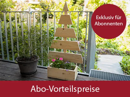 Ein vereinfachter Tannebaum aus Holz mit einem Dekokasten, gefüllt mit Rosen, steht auf einer Terrasse. Ein roter Kreistext oben rechts zeigt „Exklusiv für Abonnenten“. Auf rotem Balken steht Abo-Vorteilspreise. Bild verlinkt zur Landingpage.