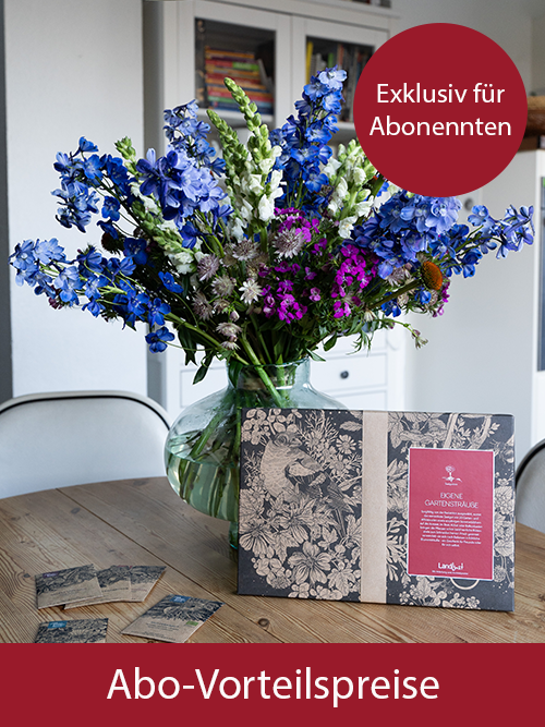 Ein Blumenstrau&szlig; steht auf einem Holztisch. Im Vordergrund befinden sich ein Pappkarton und kleine Papiert&uuml;ten, im Hintergrund ist eine K&uuml;che zu erkennen.