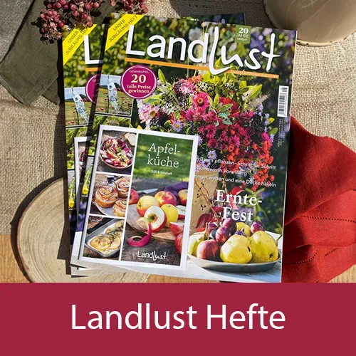 Eine Gruppe von „Landlust“-Magazinen liegt auf einem Holztisch, umgeben von einem roten Tuch, Platzsets und Beeren. Ein Heft zeigt einen farbenfrohen Blumenstrauß auf dem Cover, ein weiteres Heft thematisiert Äpfel. Bild verlinkt zu den Landlust Heften.