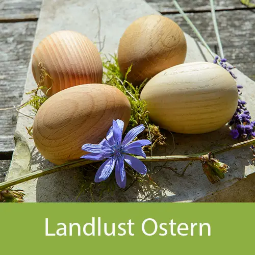 Vor einem verschwommenen Hintergrund befindet sich freigestellt der Landlust Jahreskalender 2026