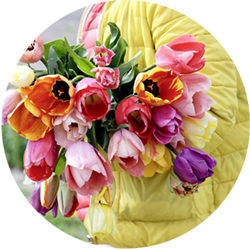 Eine Frau mit gelber Winterjacke h&auml;lt einen Strau&szlig; Tulpen in der Hand.