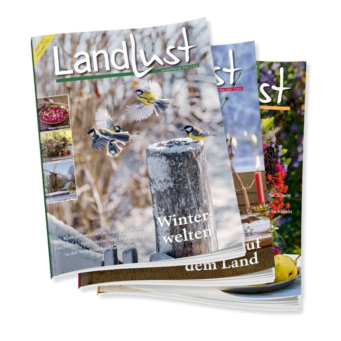 Zeitschriftenstapel von &bdquo;Landlust&ldquo;. Vorderes Cover zeigt eine winterliche Szene mit gefrorenen Kerzenhaltern und Tannengr&uuml;n. Text: &bdquo;Winterfreuden&ldquo; und Themen wie &bdquo;Lichter & Laternen&ldquo;. Andere Magazine im Hintergrund. Bild verlinkt zur Bestellseite.