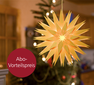 Ein großer Stern aus einzelnen Holzstücken, der durch LED-Licht beleuchtet ist. Im Hintergrund sieht man einen Weihnachtsbaum.