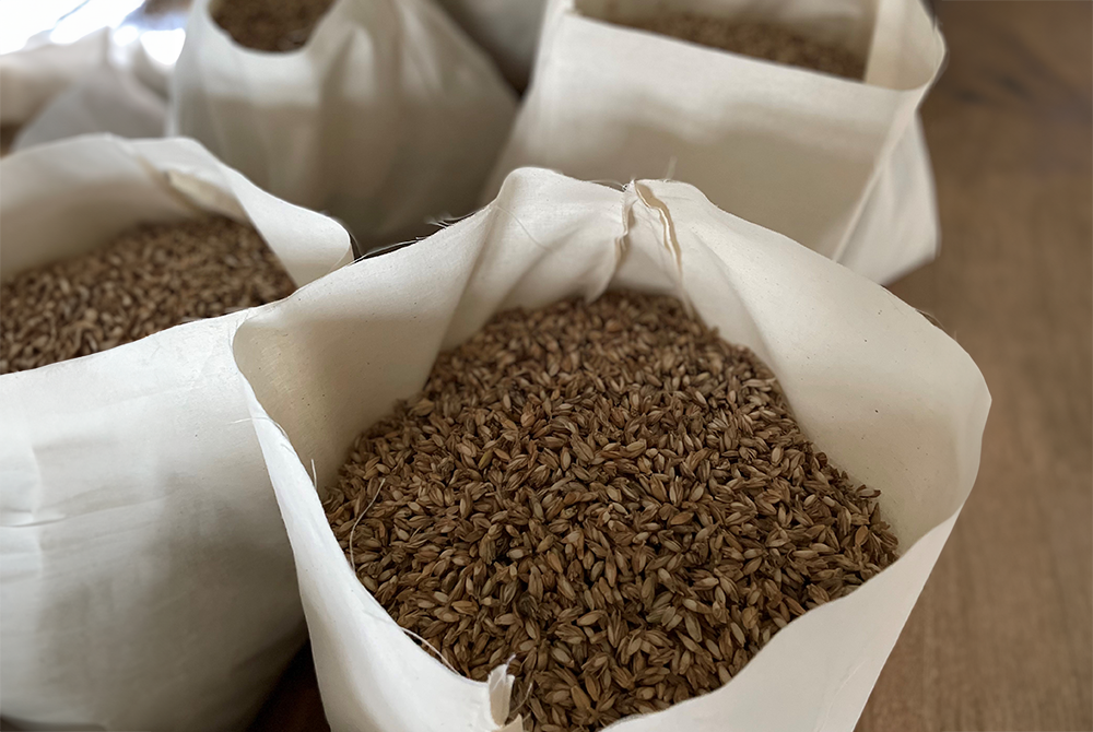 Offene Kissenhüllen gefüllt mit braunen Getreidekörnern stehen aufrecht nebeneinander