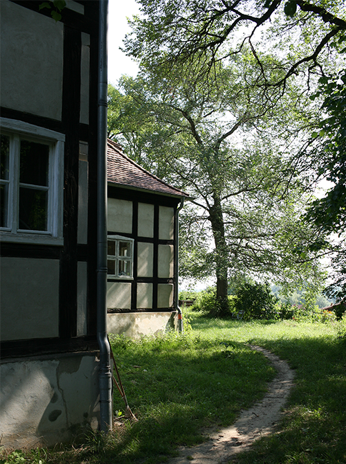 Fachwerkhäuser stehen umgeben von grünen Wiese und Bäumen